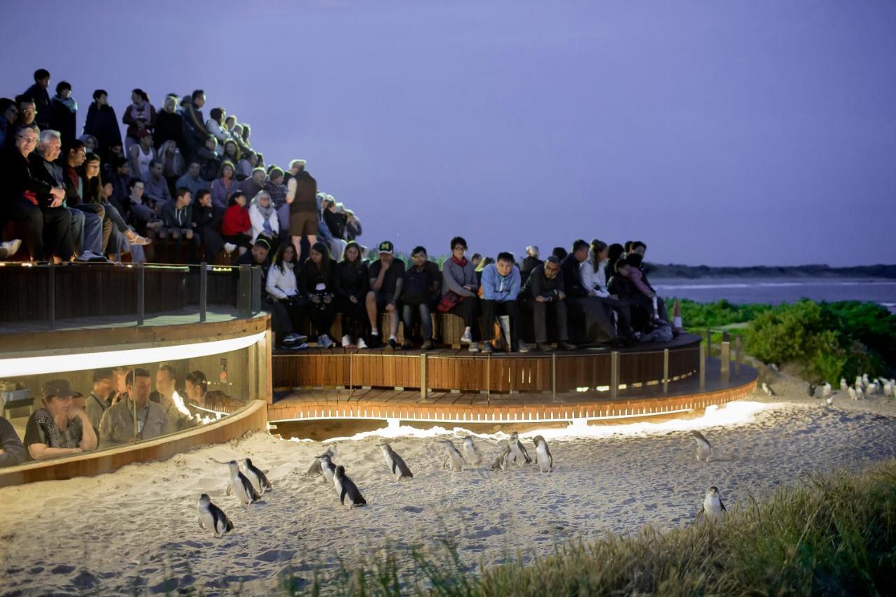 ניוהייבן The Island Accommodation מראה חיצוני תמונה